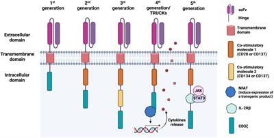 Revolutionizing the treatment for nasopharyngeal cancer: the impact, challenges and strategies of stem cell and genetically engineered cell therapies